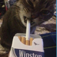 シmrmarioNGNWシ.pl