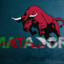 Matador