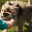 Zeeb: Male wolf