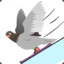 DownhillPigeon