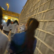 日月入怀自逍遥