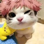 Techo del Real Plaza