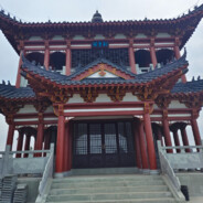 凹福星的都是出生