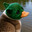 Ducky