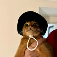 小熊今天也想环游世界