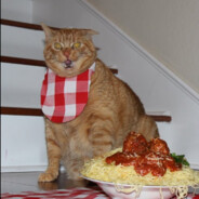 Pastacat48