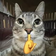 ChàngKhờBậnBúLòTôn