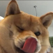 我也不想那么蔡啊