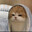 Adolf Meow