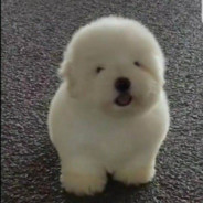凹凸卜
