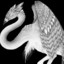Arctic_Halcyon