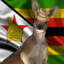 KEnguru_ZZZimbaBwE