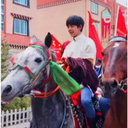 理塘纯真策马丁一郎