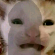 ♥Silesian.boy♥ :3