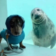 Абдурозик ^-^