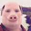 JOHN PORK