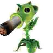 TypicalPeashooter