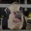 LickyTheCow