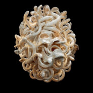 翻斗花园突击手牛爷爷