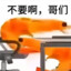 喜欢在东北雨姐的小学