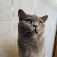 我有甲亢别惹我