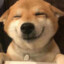 带猴哥飞