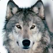 Blacolf