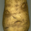 potat
