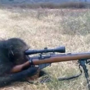 Sniper monkey