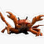 Cancer Crab