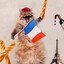 Monsieur Le Pussy Meowsy