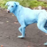 จกกระปี๋