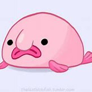Blob Fish