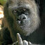 eze diyei