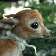 Gorefawn - steam id 76561197963232181