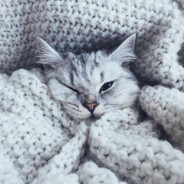 我是栗沣浃他爸爸