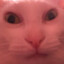 M3T30R
