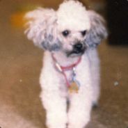 Sodabagoda - steam id 76561197965601267