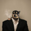 Mr.Cookie