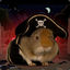 GuineaPirate