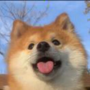 别惹我我有精神病