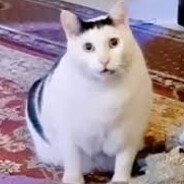 SHIRO - steam id 76561198155267605