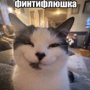 Котость