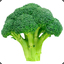 Just a Broccoli