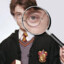 harry spotter