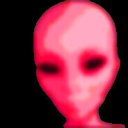 neletit - steam id 76561199442934735
