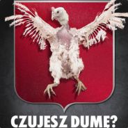 ^2{^3A4F^2}^1  ^0BazanT  ^7P^1L