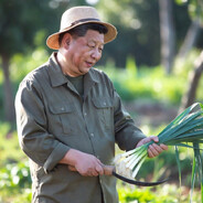 明明是韭菜 确支持镰刀