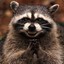 Laugh Racoon
