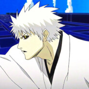 gin ichimaru 13km